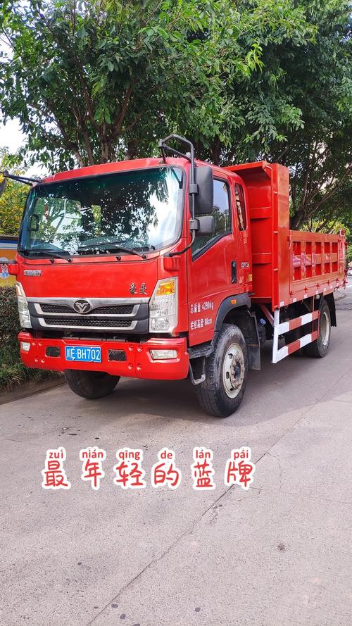 从化二手农用自卸车价格多少？-第2张图片-宁夏农业信息网