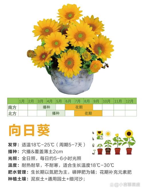 夏花如何提高成活率？-第3张图片-宁夏农业信息网