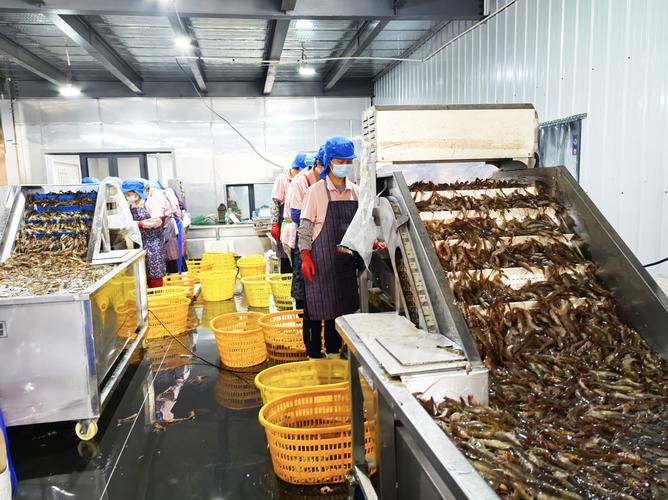 水产品加工厂如何加工?-第1张图片-宁夏农业信息网 水产品加工厂如何加工?-第1张图片-宁夏农业信息网
