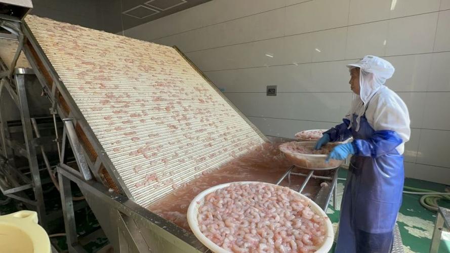 水产品加工厂如何加工?-第3张图片-宁夏农业信息网 水产品加工厂如何加工?-第3张图片-宁夏农业信息网