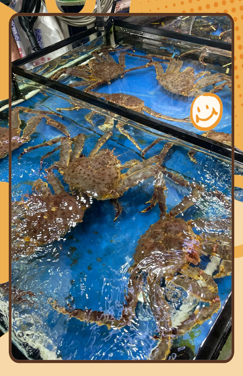 珠海最大水产批发市场在哪里？-第2张图片-宁夏农业信息网