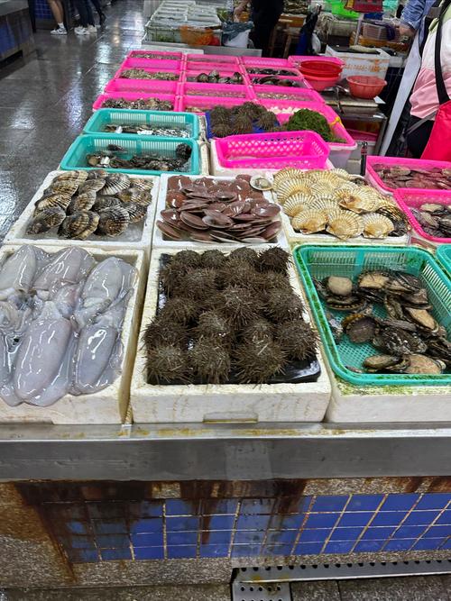 珠海最大水产批发市场在哪里？-第1张图片-宁夏农业信息网