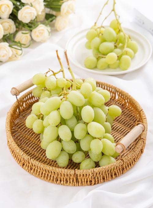 现在提子最好新品种是哪个？-第2张图片-宁夏农业信息网