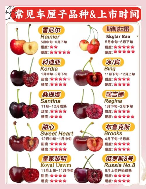 车厘子哪个品种最好种-第1张图片-宁夏农业信息网