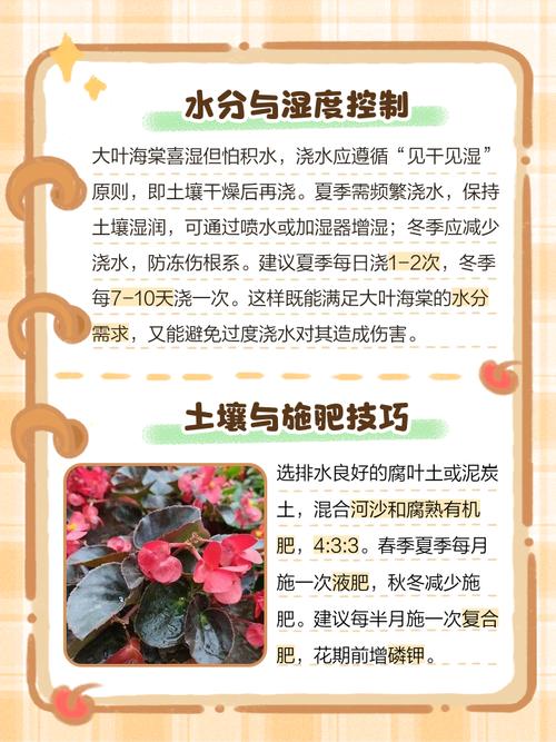 叶子花怎么养？图解步骤有哪些？-第1张图片-宁夏农业信息网