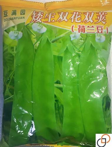 哪些荷兰豆品种无需搭架?-第1张图片-宁夏农业信息网 哪些荷兰豆品种无需搭架?-第1张图片-宁夏农业信息网