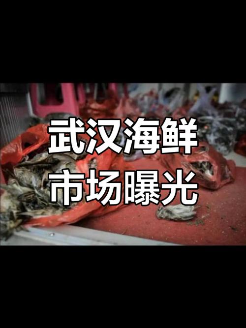 武汉水产批发市场具体位置在哪？-第3张图片-宁夏农业信息网