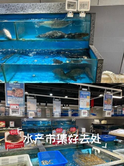 广东佛山水产批发市场有何特色？-第2张图片-宁夏农业信息网