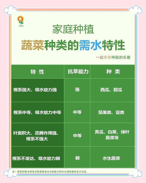 大白菜浇水有哪些正确方法？-第1张图片-宁夏农业信息网