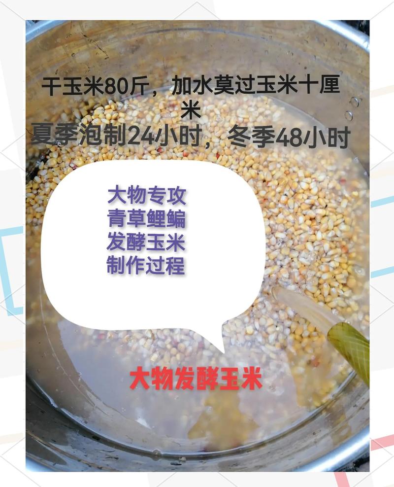 湿料发酵饲料怎么用才有效？-第3张图片-宁夏农业信息网