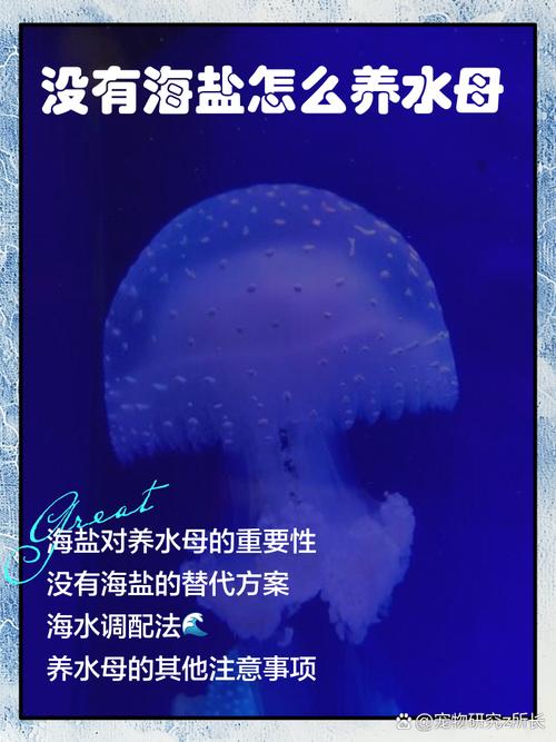 咸水湖能搞水产养殖吗？-第1张图片-宁夏农业信息网