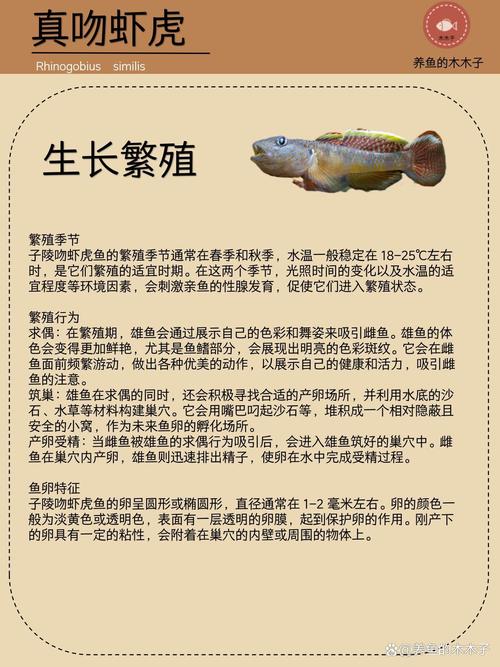 南三虾鱼混养，哪些品种搭配好？-第2张图片-宁夏农业信息网