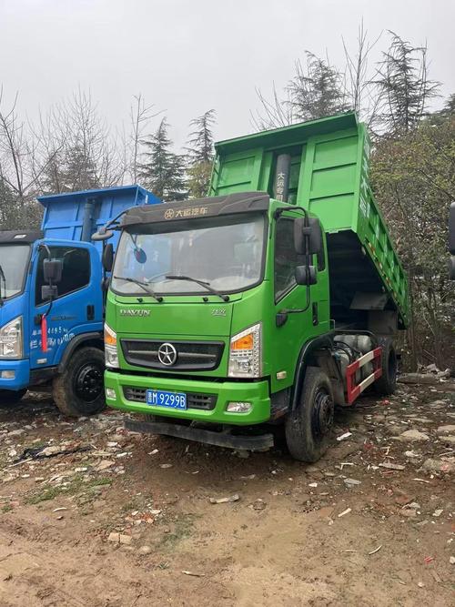 大大运农用自卸货车图片有哪些特点？-第2张图片-宁夏农业信息网