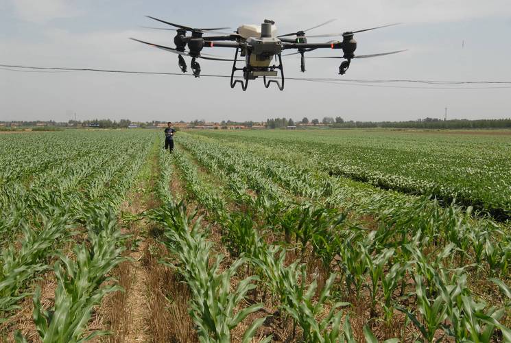 农用无人机打药效果如何？-第1张图片-宁夏农业信息网