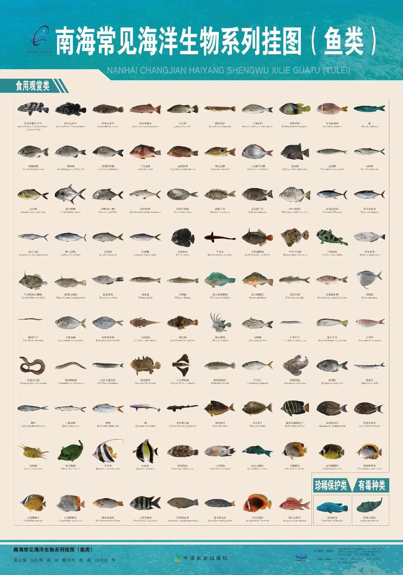 海南养殖哪些水产品?-第1张图片-宁夏农业信息网 海南养殖哪些水产品?-第1张图片-宁夏农业信息网