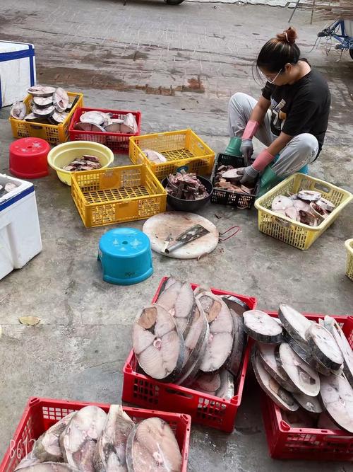 海南养殖哪些水产品?-第2张图片-宁夏农业信息网 海南养殖哪些水产品?-第2张图片-宁夏农业信息网