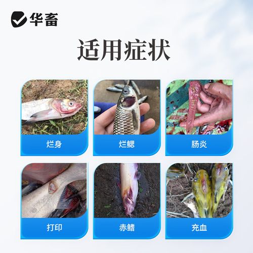 水产用恩诺沙星粉价格-第1张图片-宁夏农业信息网