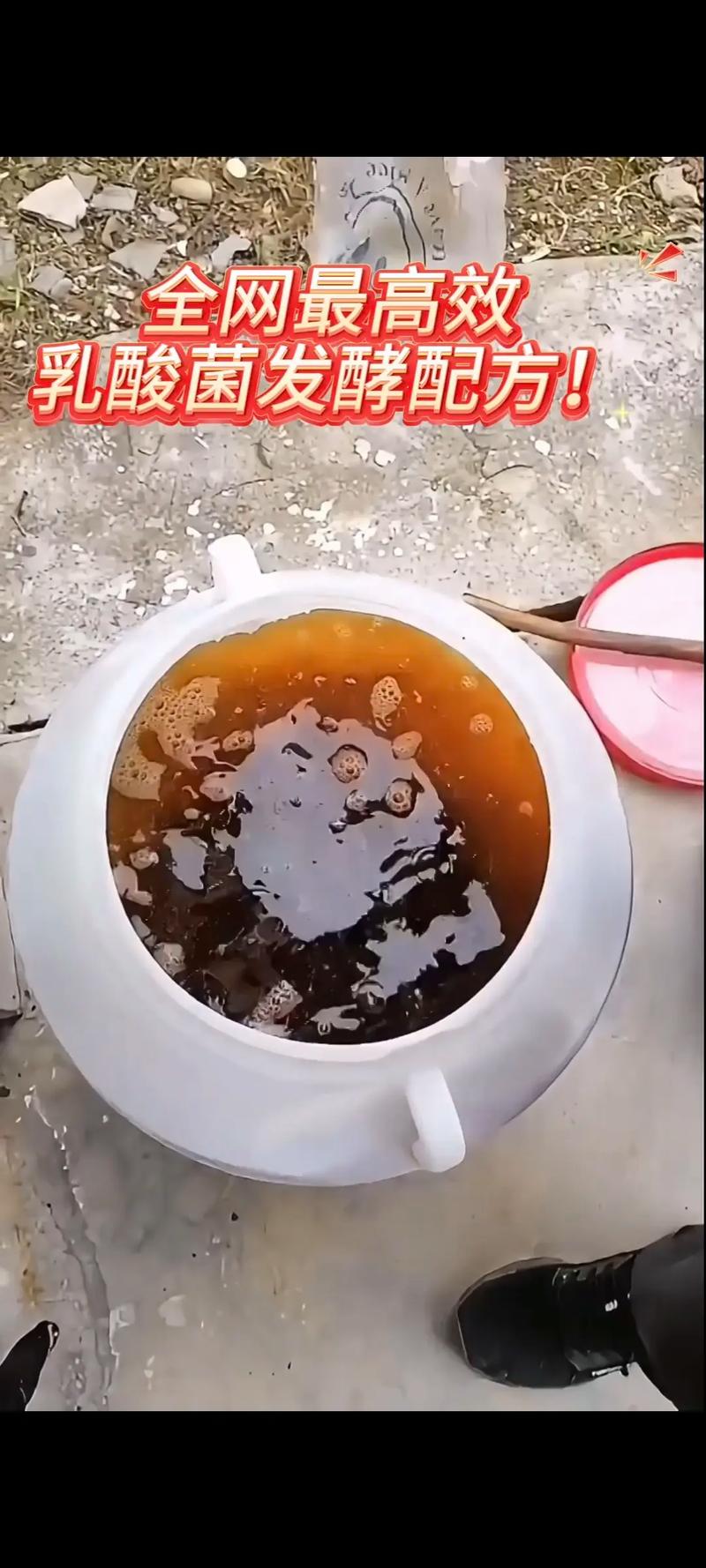 水产用乳酸菌用法用量-第3张图片-宁夏农业信息网