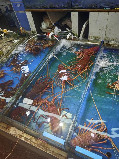 青岛小港水产批发市场-第1张图片-宁夏农业信息网