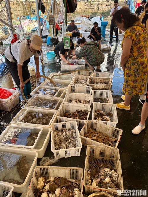 青岛小港水产批发市场-第2张图片-宁夏农业信息网 青岛小港水产批发市场-第2张图片-宁夏农业信息网