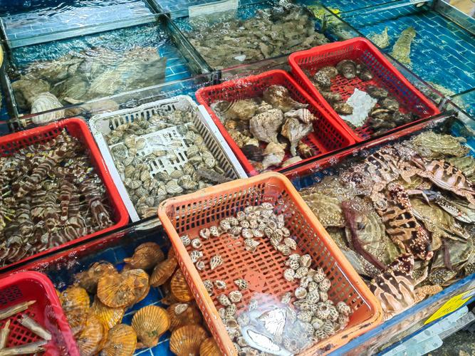 广西钦州水产批发市场-第3张图片-宁夏农业信息网