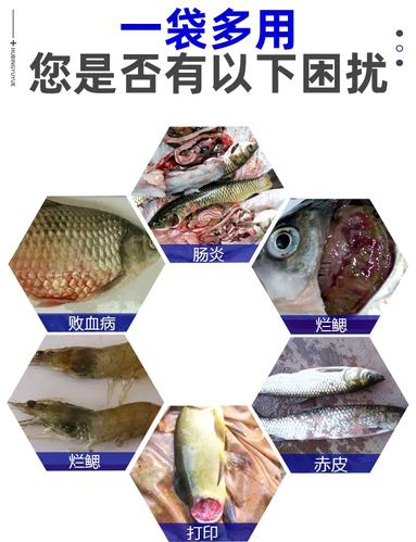 水产用浓缩大蒜素价格多少？-第1张图片-宁夏农业信息网