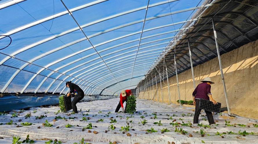 甘肃平凉水产养殖基地-第2张图片-宁夏农业信息网 甘肃平凉水产养殖基地-第2张图片-宁夏农业信息网