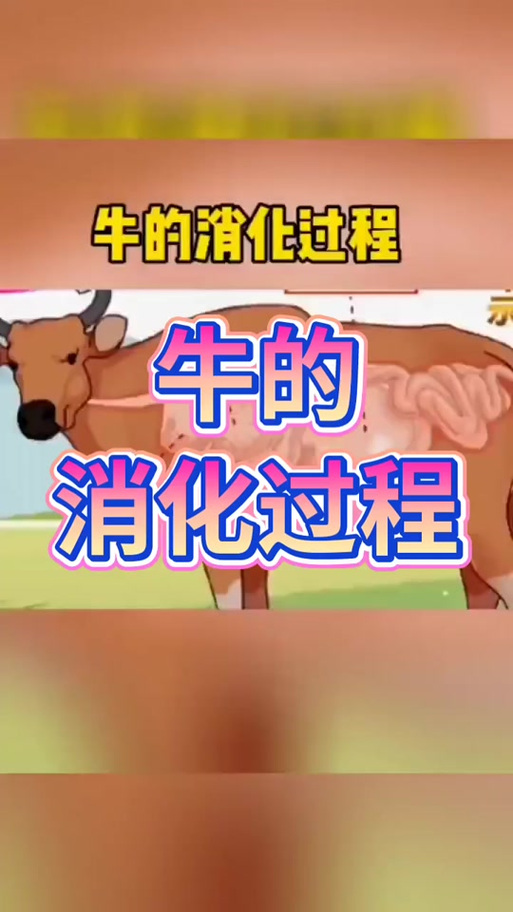 牛倒地不起怎么办？急救方法有哪些？-第2张图片-宁夏农业信息网