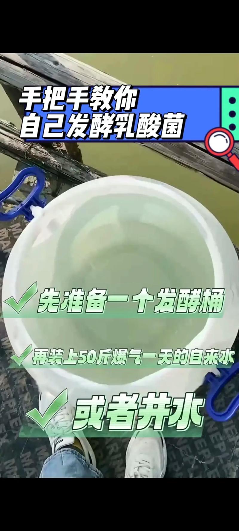 水产养殖乳酸菌发酵好在哪?-第1张图片-宁夏农业信息网 水产养殖乳酸菌发酵好在哪?-第1张图片-宁夏农业信息网