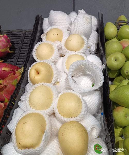 皇冠梨是什么品种的梨-第2张图片-宁夏农业信息网 皇冠梨是什么品种的梨-第2张图片-宁夏农业信息网