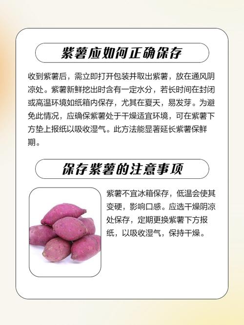 紫薯何时种？怎么种才高产？-第3张图片-宁夏农业信息网