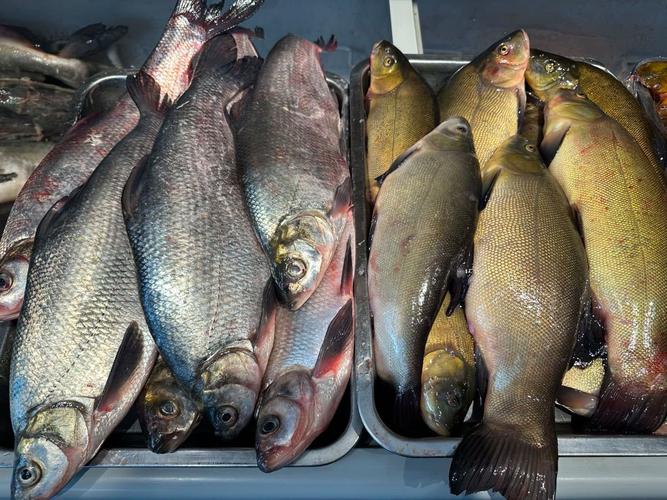 水产品市场有些什么鱼-第1张图片-宁夏农业信息网