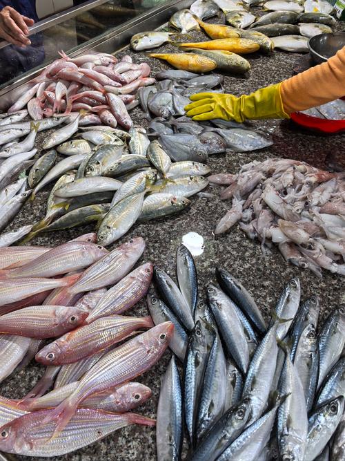 水产品市场有些什么鱼-第3张图片-宁夏农业信息网