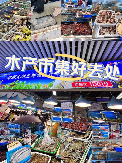 烟台水产批发市场在哪？-第2张图片-宁夏农业信息网