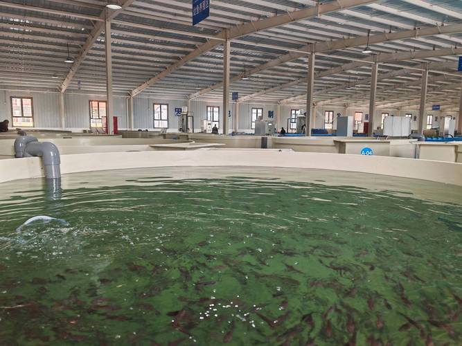 比较好的水产养殖公司-第1张图片-宁夏农业信息网