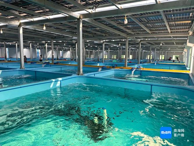 比较好的水产养殖公司-第2张图片-宁夏农业信息网