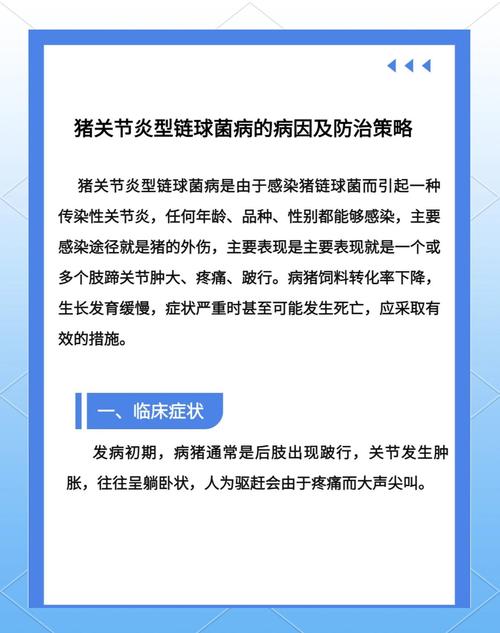猪链球菌最佳防治方法是什么?-第1张图片-宁夏农业信息网 猪链球菌最佳防治方法是什么?-第1张图片-宁夏农业信息网