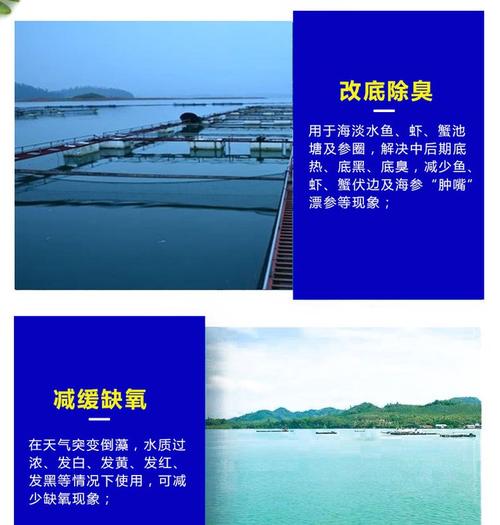 水产改底产品主要成分-第1张图片-宁夏农业信息网