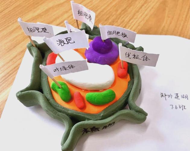 固定化细胞方法有哪些？-第2张图片-宁夏农业信息网