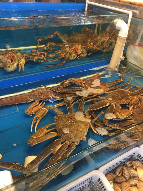 京深海鲜市场活水产价格如何？-第1张图片-宁夏农业信息网