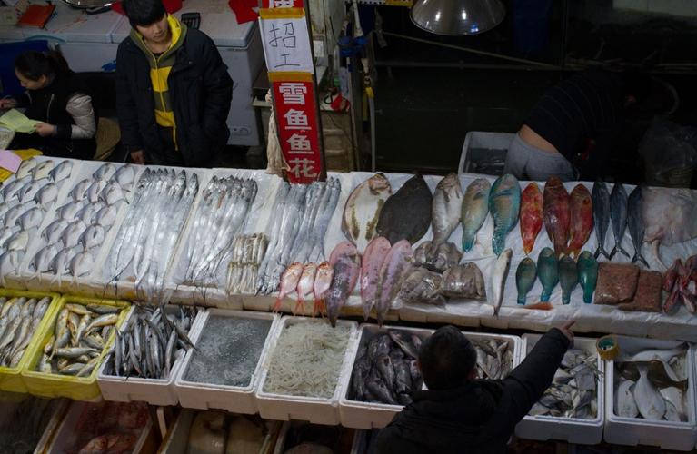 京深海鲜市场活水产价格如何？-第3张图片-宁夏农业信息网