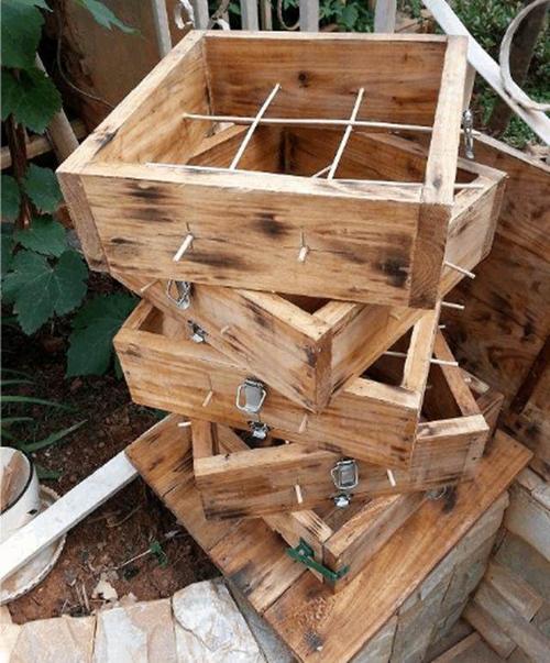 格子箱分蜂的正确方法-第2张图片-宁夏农业信息网