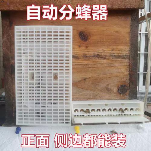 格子箱分蜂的正确方法-第3张图片-宁夏农业信息网