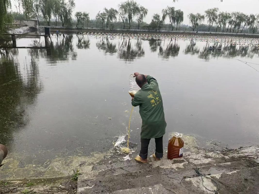 水产发酵饲料投喂方法-第1张图片-宁夏农业信息网