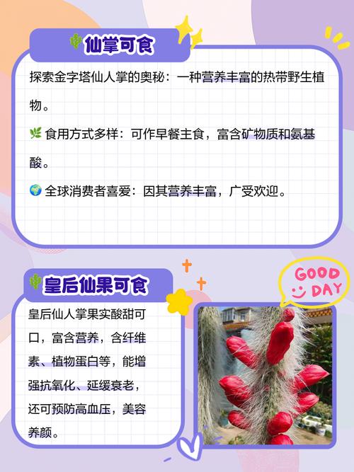 仙人球哪个品种可以吃-第1张图片-宁夏农业信息网