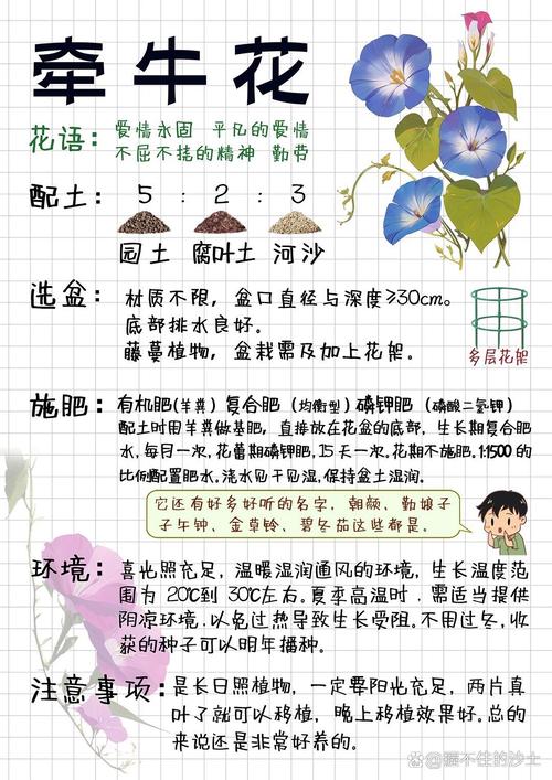 矮牵牛怎么种？种植方法有哪些要点？-第1张图片-宁夏农业信息网