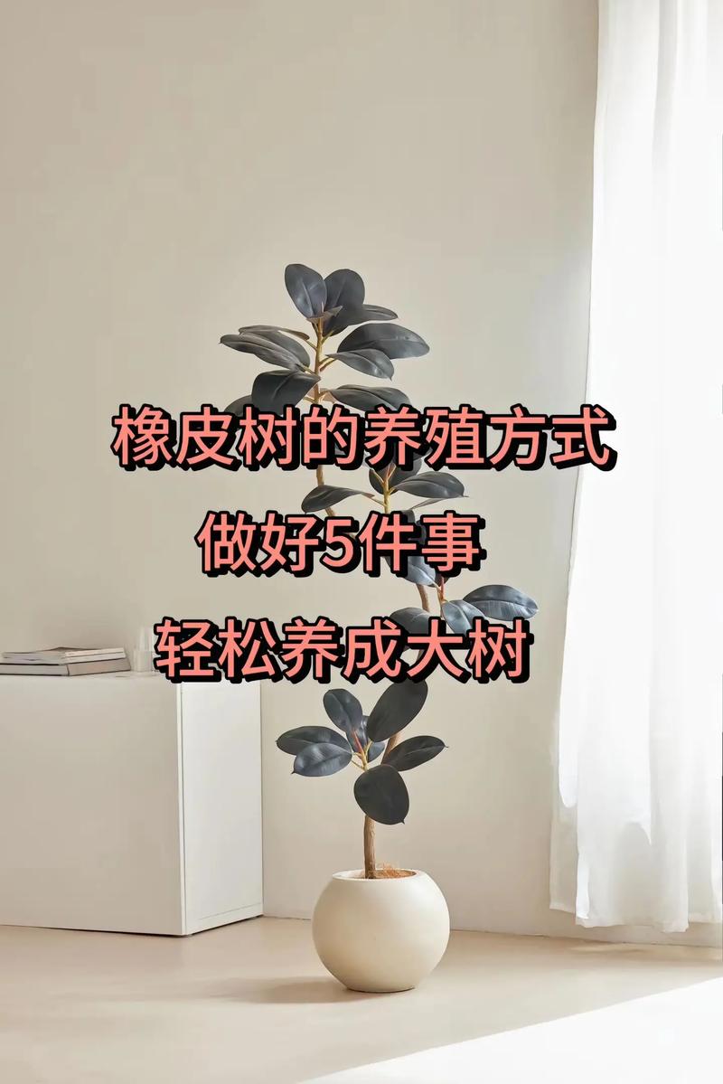 椽皮树有哪几种栽种方法？-第2张图片-宁夏农业信息网