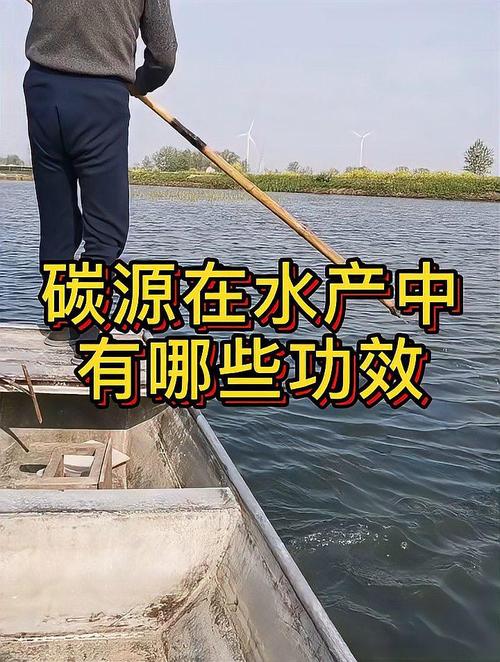 水产养殖碳源有哪些？-第2张图片-宁夏农业信息网