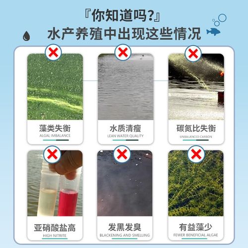 水产养殖碳源有哪些？-第3张图片-宁夏农业信息网