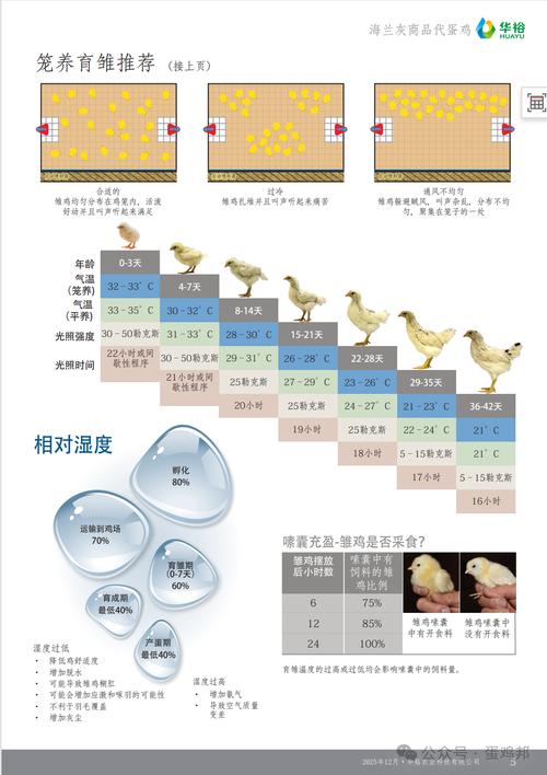 如何高效利用家禽地方品种资源？-第1张图片-宁夏农业信息网